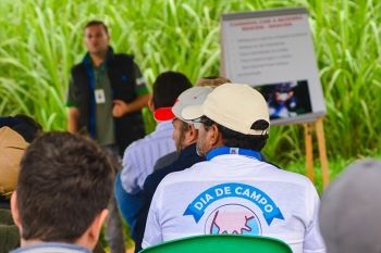 Programa Mais Leite promove Dia de Campo em Sidrolândia