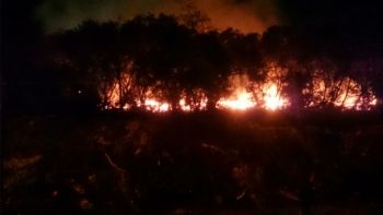 Incêndio destrói aproximadamente 2,1 mil metros do ecoponto