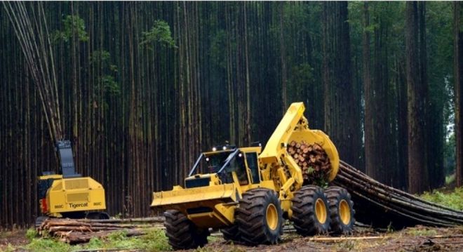Fibria terá um dos pátios de madeira mais eficientes do mundo