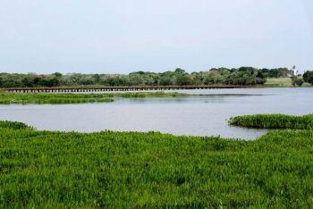 Governadores de MS e MT assinam documento de preservação do Pantanal