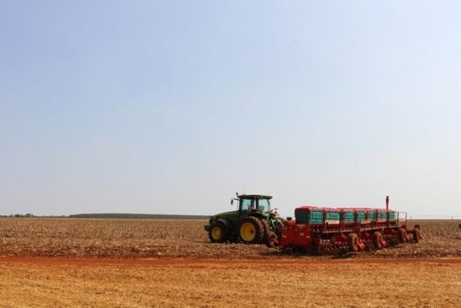 Aprosoja divulga semeadura da soja em 36% das lavouras do estado