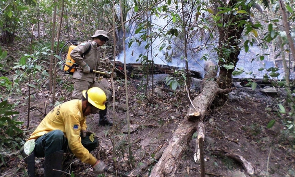 Corumbá apresenta maior incidência de queimada desde 2012