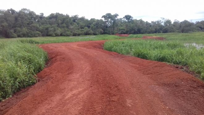 Proprietária rural é multada em R$ 10 mil por construir estrada sem licença ambiental