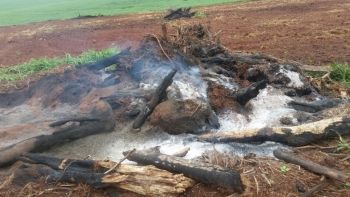 PMA autua em R$ 42 mil proprietário rural por incêndio ilegal em vegetação em leiras