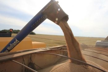 Agricultores iniciam ano com nota fiscal do produtor no formato eletrônico em MS