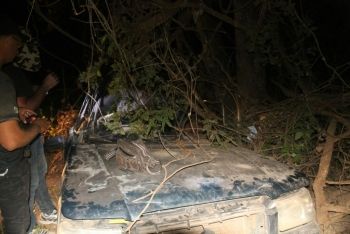 Sobrevivente de 5 anos busca ajuda em estrada ap&oacute;s pais morrerem em acidente 
