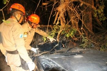 Sobrevivente de 5 anos busca ajuda em estrada após pais morrerem em acidente