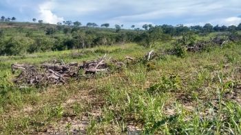 Proprietário rural é multado em R$ 67 mil por desmatamento ilegal