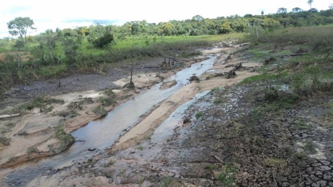 Pecuarista é multado em R$ 50 mil por represa destruir um hectare de matas ciliares
