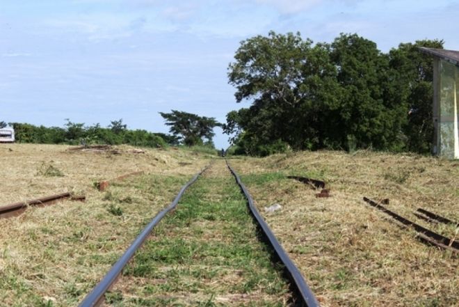 ALL começa a limpar o mato ao redor da ferrovia após notificação da Secretaria