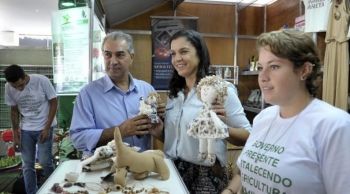  Algodão Colorido conquista espaço na agricultura familiar