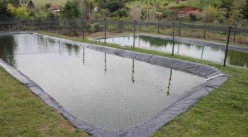 Imasul isenta de licença ambiental projetos de piscicultura de até cinco hectares 