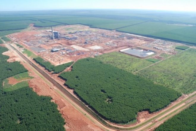 Senado elege Três Lagoas como Capital Nacional da Celulose