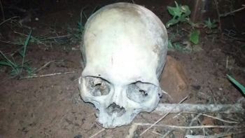 Crânio humano é encontrado em bairro de Três Lagoas