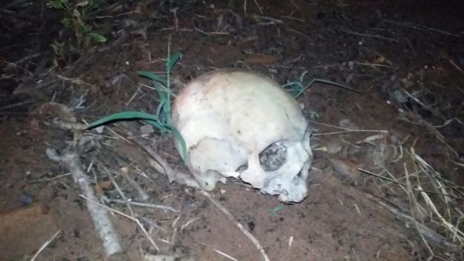 Crânio humano é encontrado em bairro de Três Lagoas