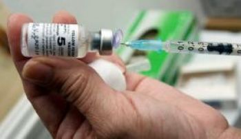Apesar de mutação no vírus da Febre Amarela, vacina continua eficaz