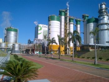 Indústria de celulose aumenta em 15% venda de energia verde para sistema nacional 