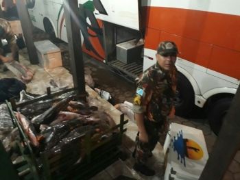 Policia Militar Ambiental apreende 518 kg de pescado com turistas em Corumbá