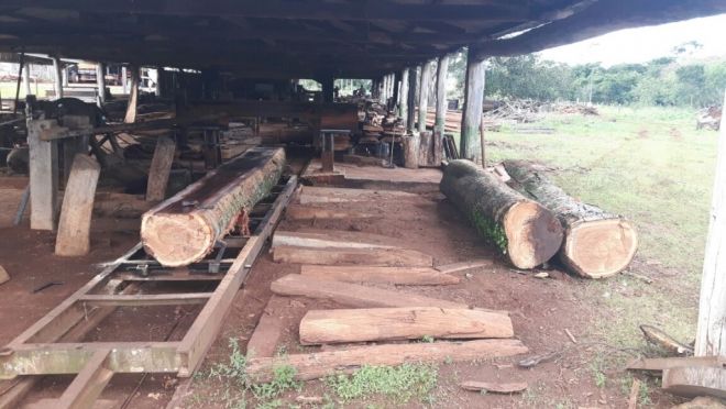 Empresa de agropecuária é autuada por exploração ilegal de madeira na Serra da Bodoquena 