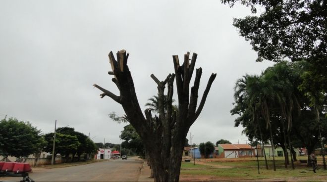Jardineiro é multado em R$ 1,6 mil por podar árvores de praça pública