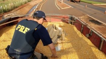 Polícia desconfia de motorista e encontra droga em carga de milho