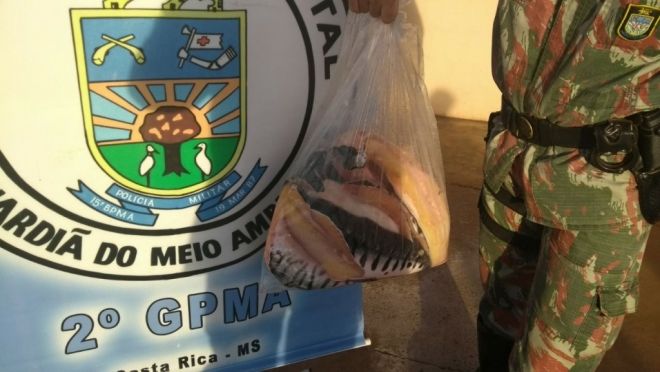 Policia Militar Ambiental autua homem por pescado ilegal