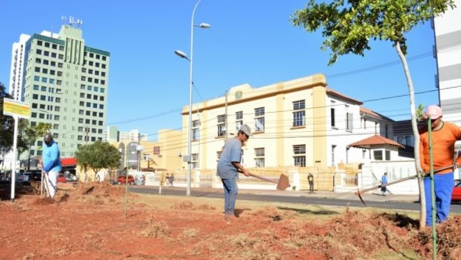 Após parceria, Avenida Afonso Pena terá canteiro revitalizado no centro da Cidade