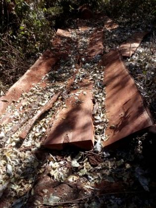 Polícia Militar autua em R$ 5.000,00 assentado por uso e exploração ilegal de madeira