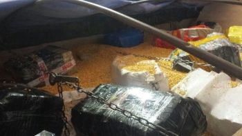 Idoso é preso com 11 toneladas de maconha escondidas em carga de milho