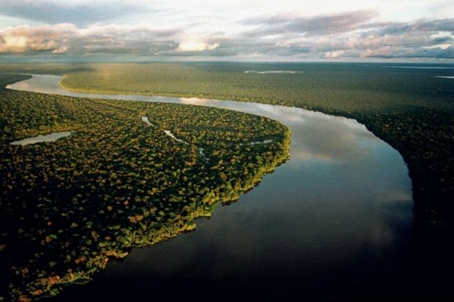 Brasil reduz o desmatamento da Amazônia em 21%, aponta estudo