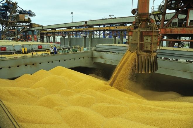 Aumento de 113,2% para as exportações do milho em agosto
