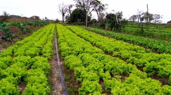 Produtores da agricultura familiar fecham acordo com o Exército Brasileiro