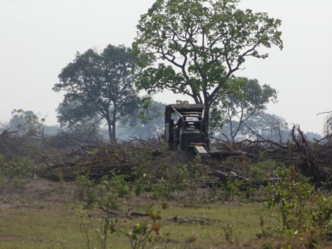 Fazendeiro desmata área do Pantanal e é multado em R$ 1,5 milhão
