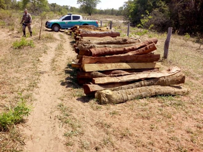 Fazendeiro é multado por desmatamento e exploração de madeira