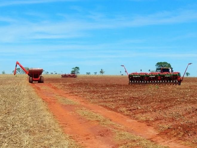 Em MS, 33% das lavouras de soja estão semeadas para a safra 2017/2018