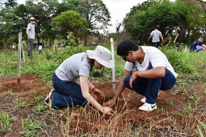 Mais de 500 árvores plantadas recuperam região ambiental de Capital 