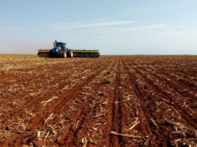 Mato Grosso do Sul registra 43% do plantio da soja
