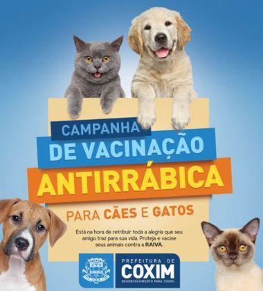 Vacinação antirrábica para cães e gatos acontece em Coxim