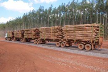 Super-caminhões diminuem gasto com transporte de madeira