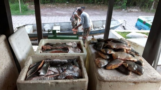 Pescadores são multados em R$ 60 mil e perdem quase uma tonelada de pescado 