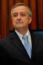 Fernando Mendes Lamas - Artigo