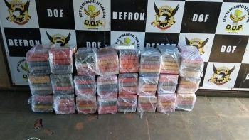 DOF apreende carga de cocaína avaliada em R$ 7 milhões