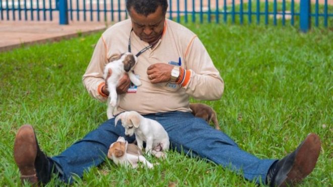 Cães e gatos resgatados estão disponíveis para adoção