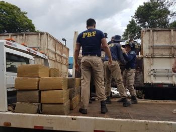 Policiais interceptam mais de sete toneladas que saiu de Mato Grosso do Sul