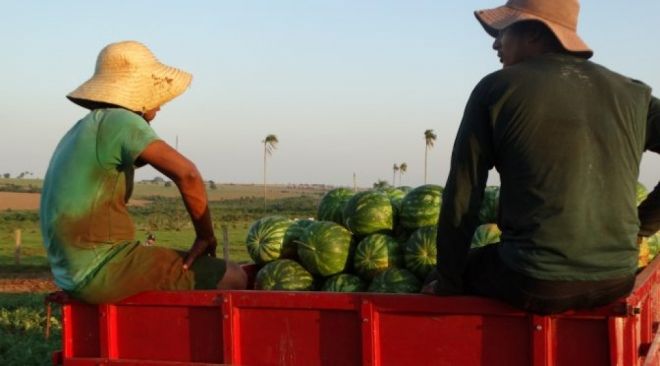 Agricultor familiar tem aumento no limite do crédito para aquisição de terra