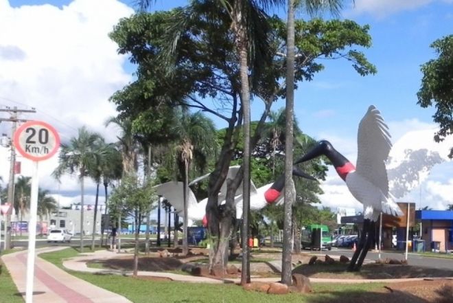 Tuiuiús instalados em frente ao Aeroporto de Campo Grande são batizados 