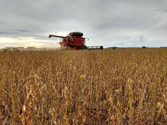 Colheita de soja chega a 23% em Mato Grosso do Sul