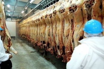 Produção de carne bovina, suína e de frango aumenta 46,17% em MS