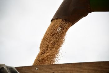 Agropecuária puxa resultado econômico brasileiro