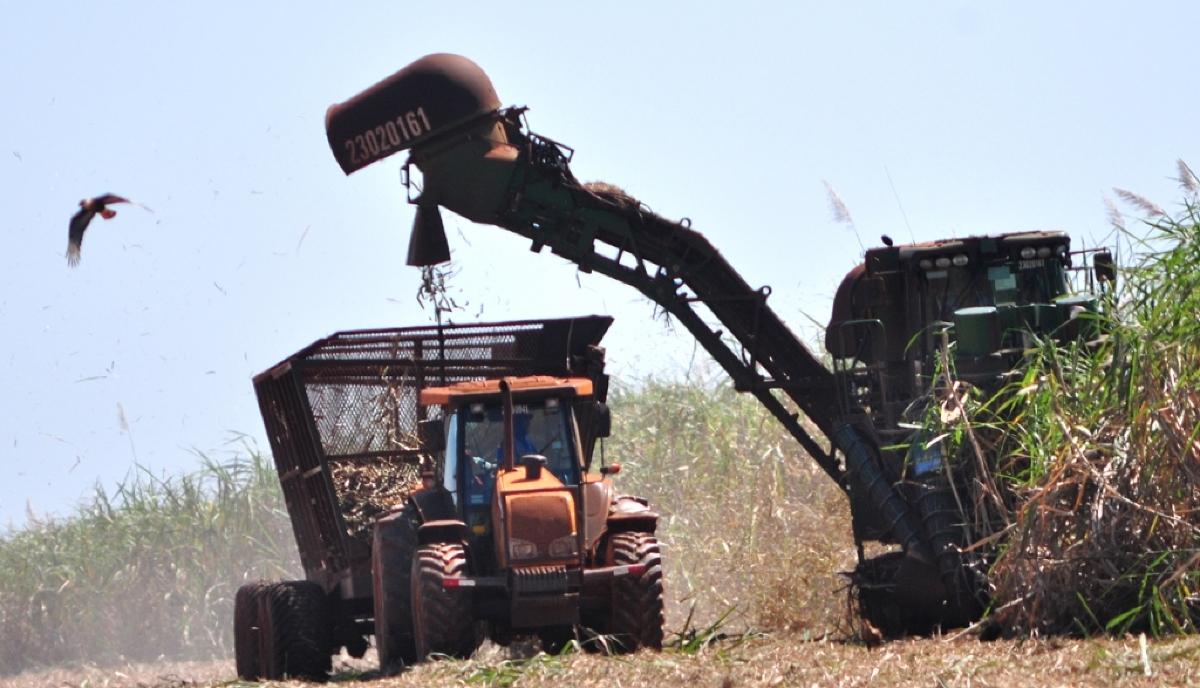 Agropecuária é o setor que mais contratou em 2018